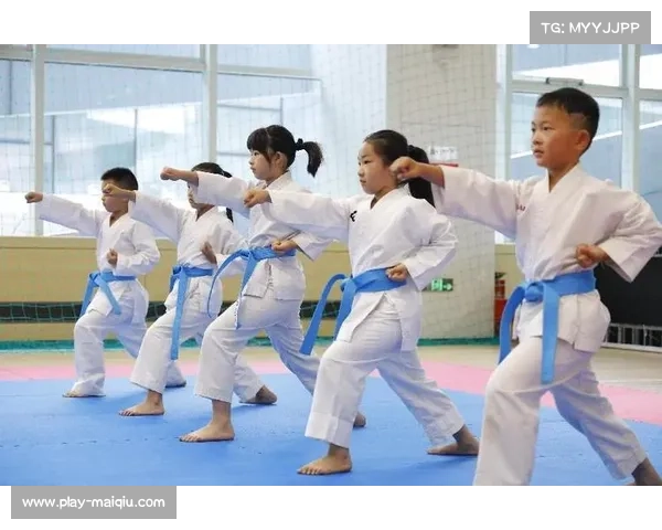 以网络传播推动空手道基本功教学视频普及与大众健身发展的研究